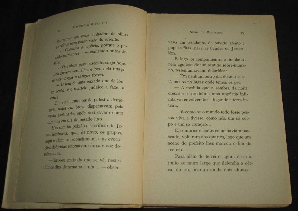 Livro E o Sangue se fez Luz Nuno de Montemor