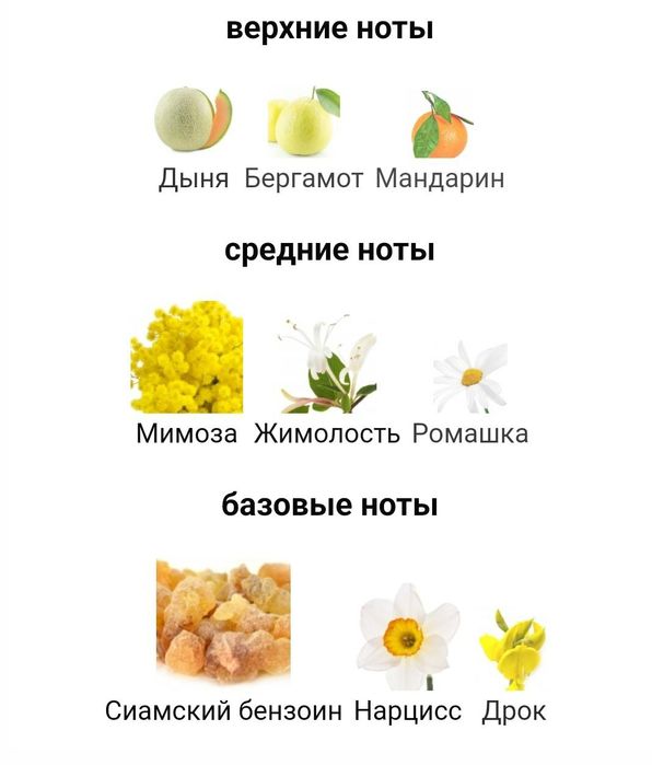 Elizabeth Arden Sunflowers Sunrise