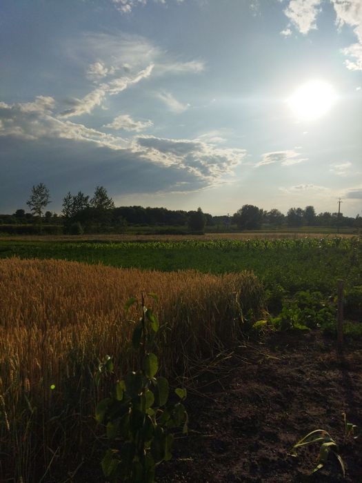 Будиночок подобово