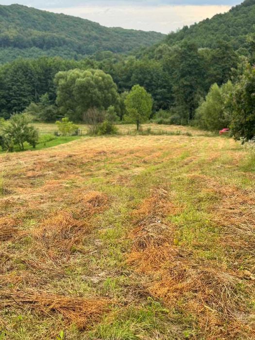 Земельна ділянка, с. Крехів