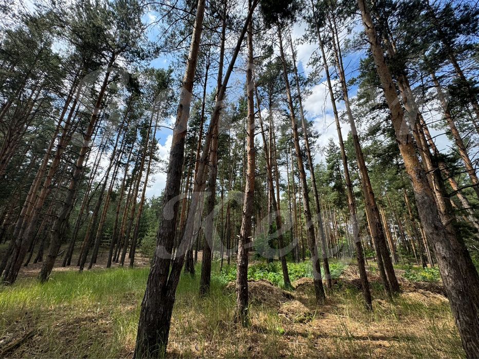 Продам НАЙКРАЩІ ділянки в МАЛЬОВНИЧОМУ місці, 27соток ,с.Проців, ЛІС