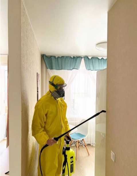 Обработка от тараканов и клопов дезинфекция квартир помещений