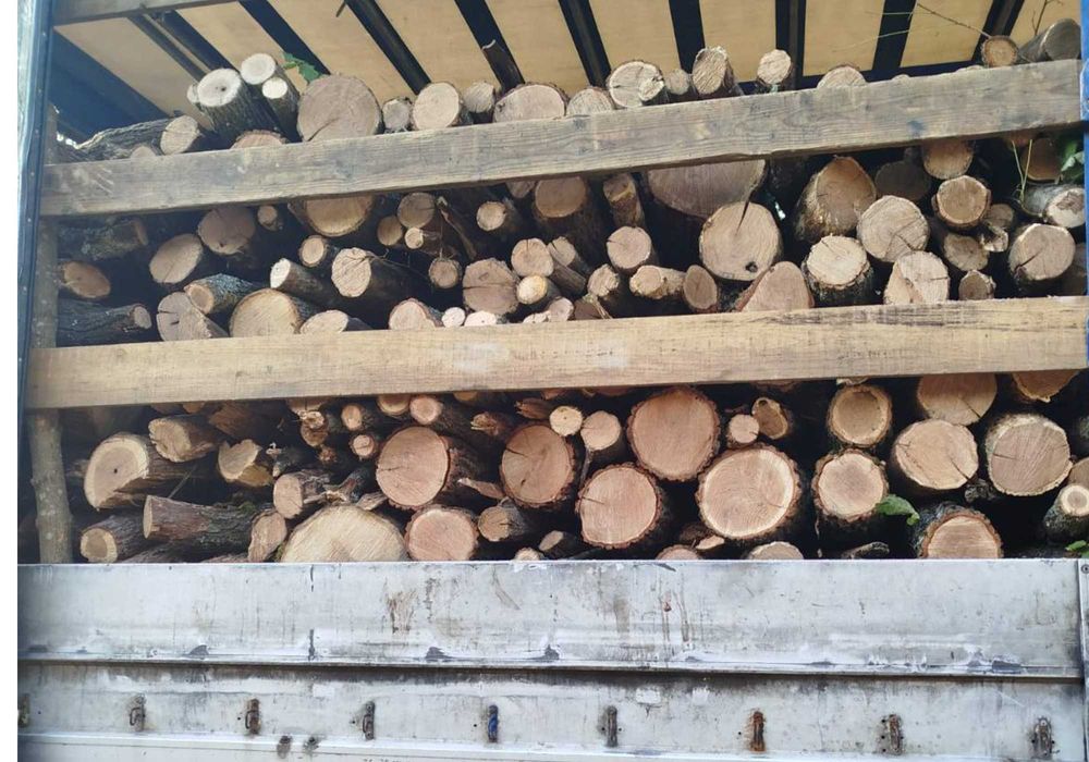 Продаж дров на зиму • Колоті, сухі, Акаця дліна 21-25 см ,мелкий покол