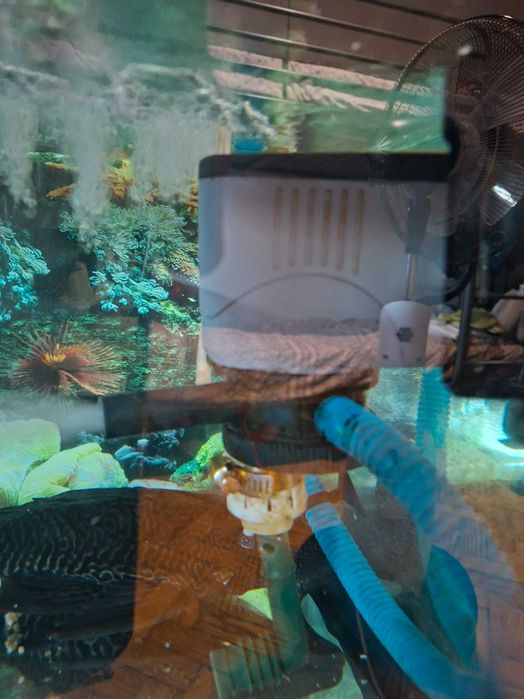 AQUÁRIO DE 250 L - Kit Completo