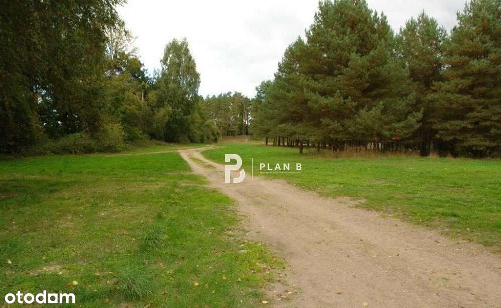 Zdjęcie 5