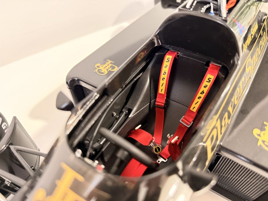 Ayrton Senna - Lotus Renault 97T (1:8)