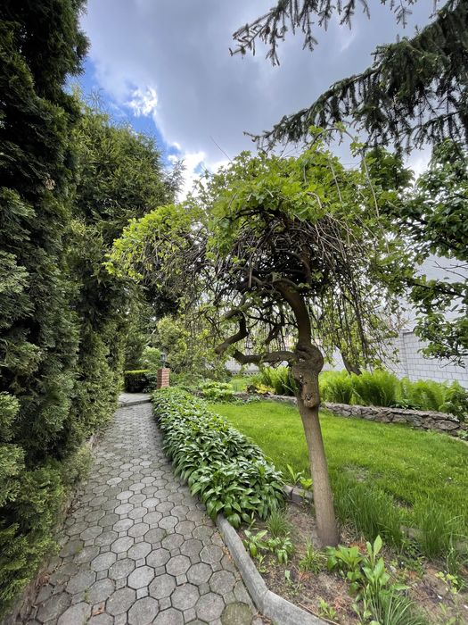 Довгострокова оренда будинку (власник)