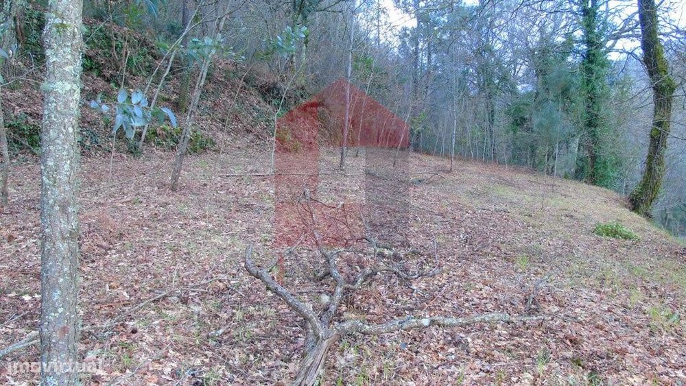 Vende-se Terreno, Pedregais — Ribeira Do Neiva, Braga
