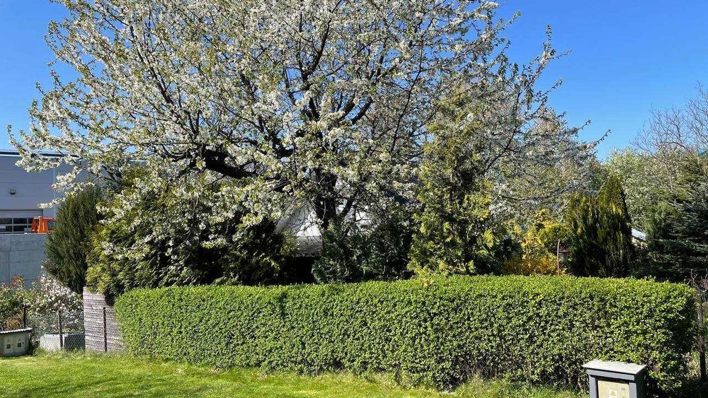 Działka ROD "WINNICA" 300 m² z domkiem | Wieliczka | 1,5 km od A4