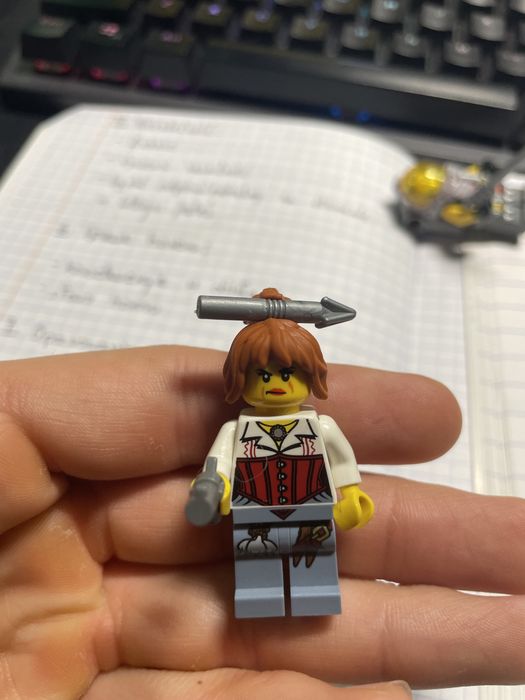Lego monster fighters Ann Lee
