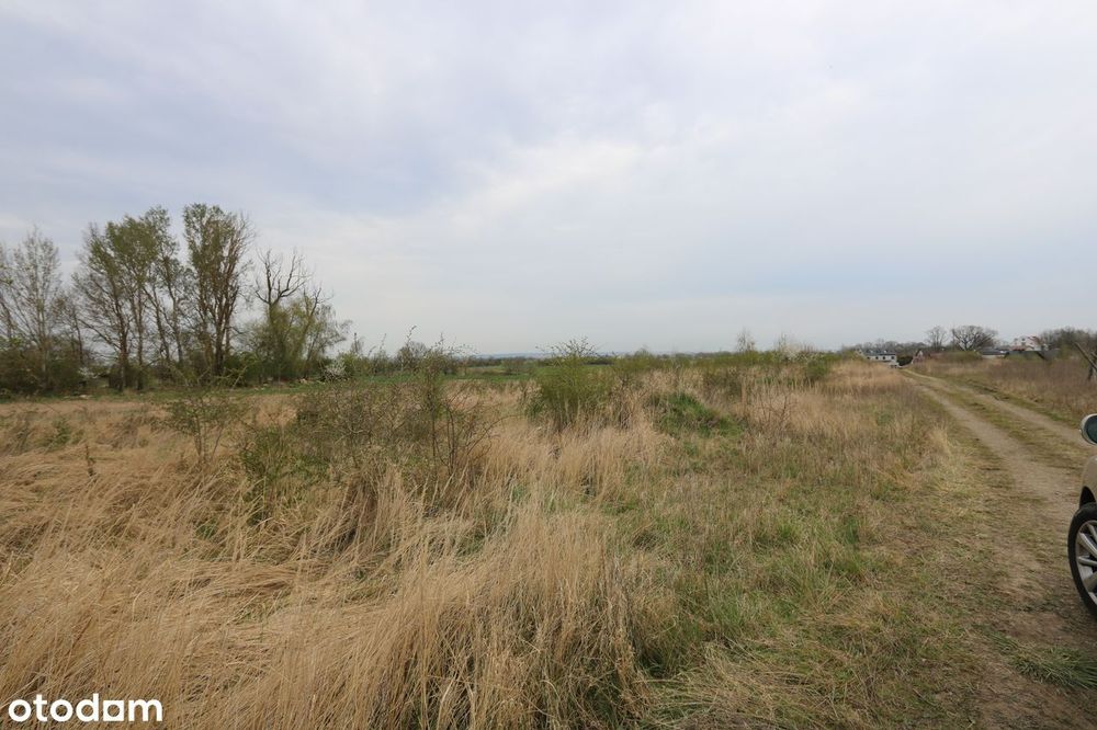 Działka z PANORAMĄ SZCZECINA/ Dzwonić w godz.8-22, także w weekendy. - View 4