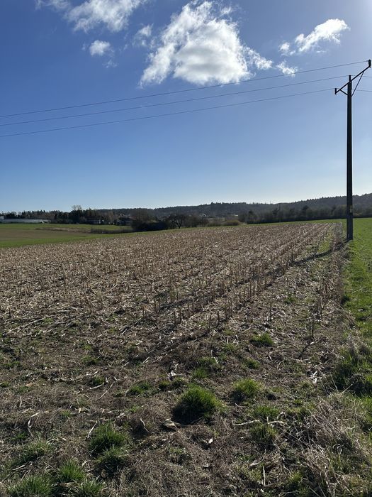 Działka Budowlana w pieknej lokalizacji 32 ary nr 218