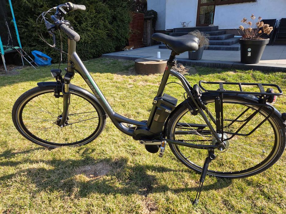 Rower elektryczny Kalkhoff Agattu Impulse