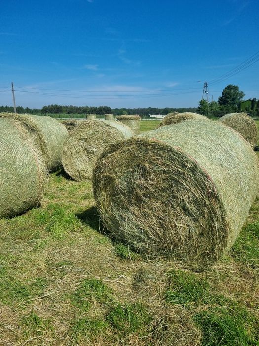 Siano  przechowywane  w stodole