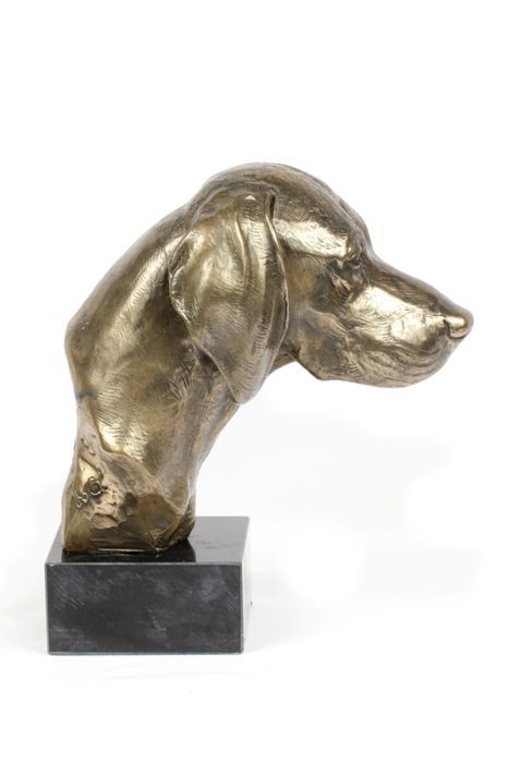 Wyżeł weimarski głowa na kamieniu Art-Dog