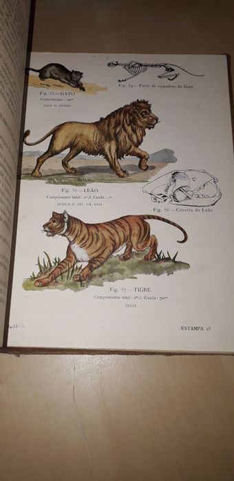 Primeiro Livro de Zoologia (1923) H. Parreira, F. Cabral