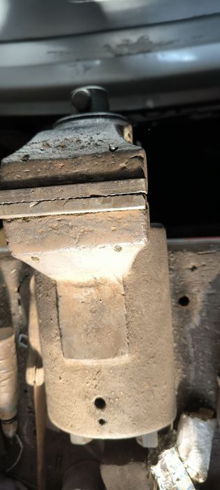 Sprzedam kute imadło York