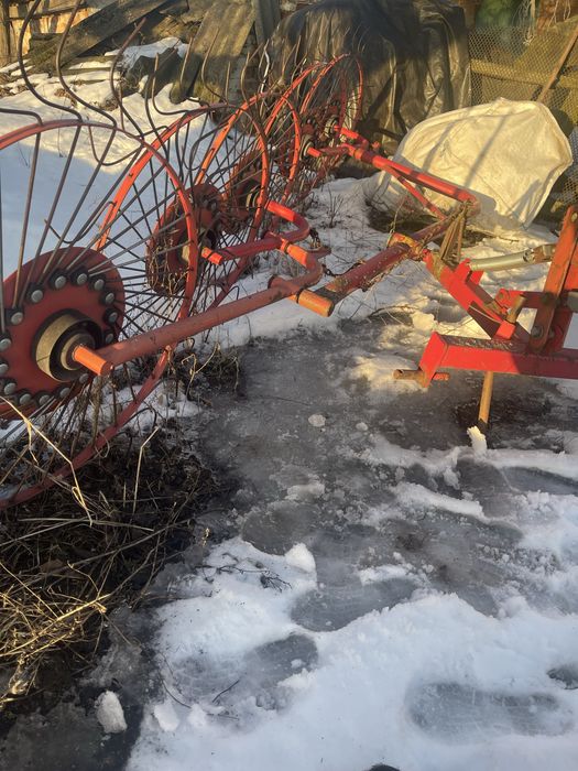 Гребка сонечко на 5 зірок  !