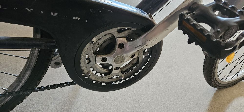 Rower Pegasus duża rama