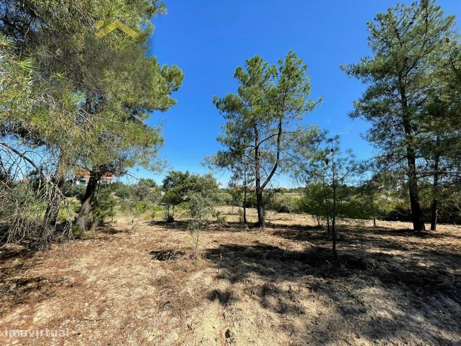 Terreno de 4000m² à Venda em Freixial do Campo