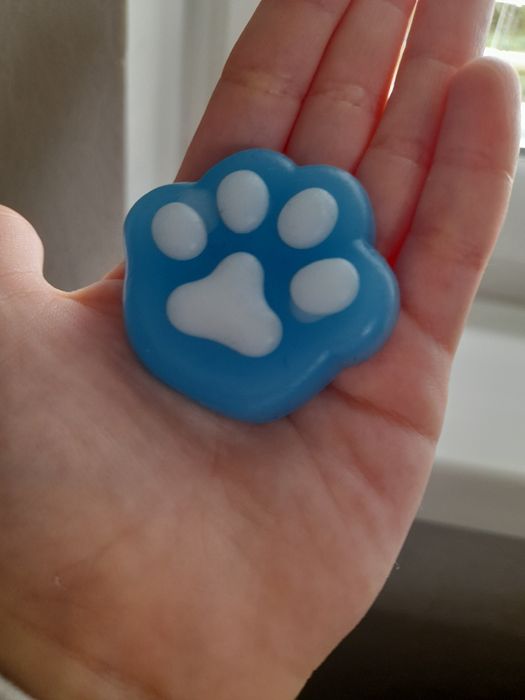 Таба лапка синього кольору з білими подушечками