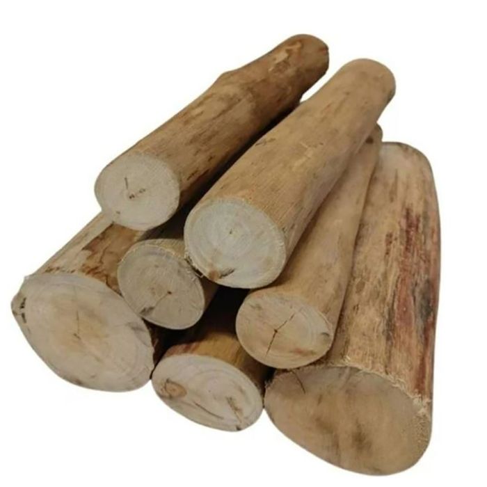 Lenha Eucalipto Seca