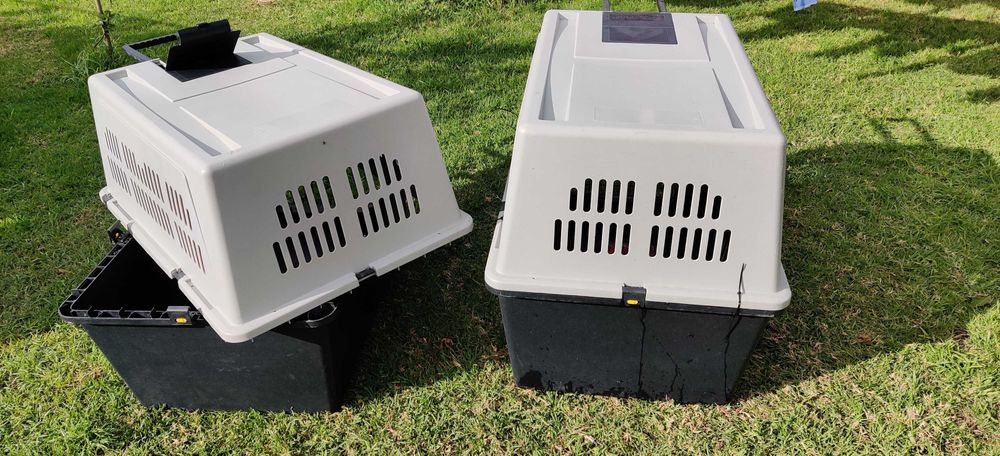 Caixa Transporte Animais XL
