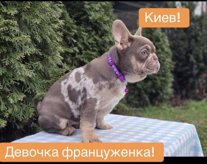 Супер девочка француженка