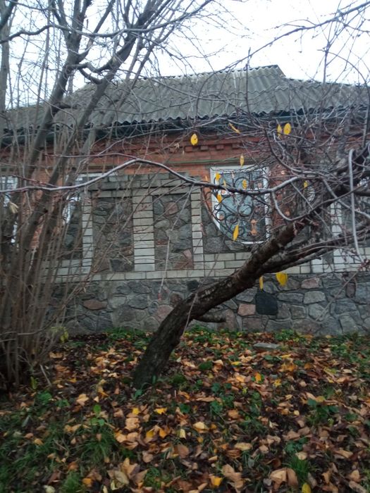 Продам будинок в центрі