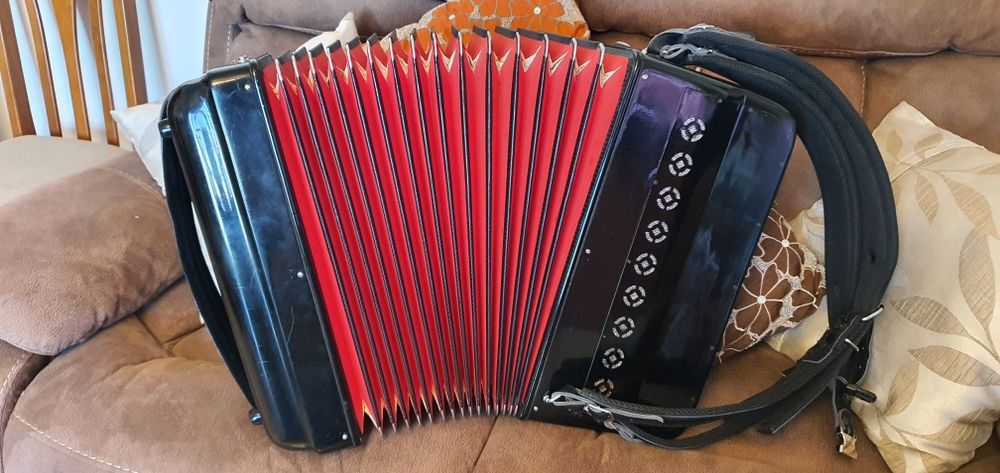 Acordeon relíquia imperdível.