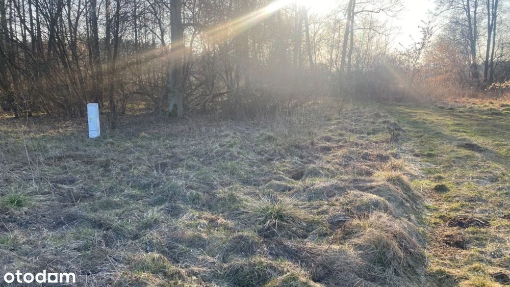 Urokliwa działka we Wsi Dobrzyniec w zakolu rzeki - Widok 2