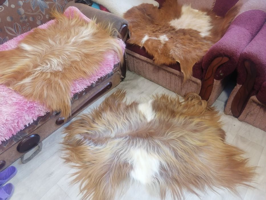 Коврик овечий чи козячий гарний стан