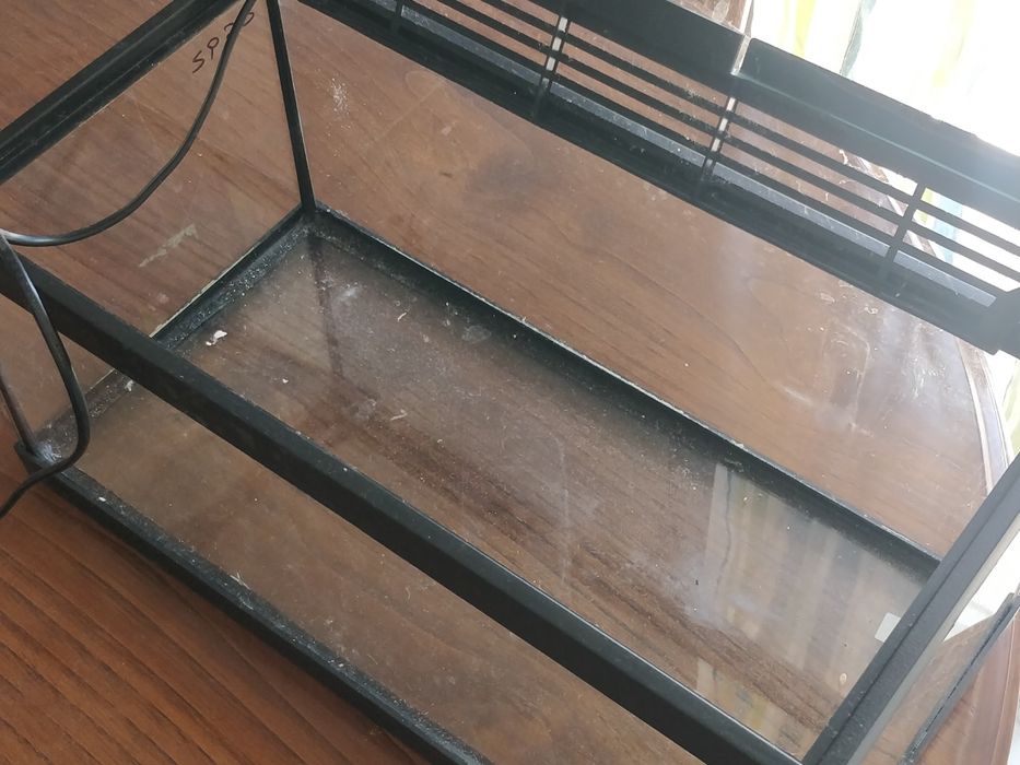 Aquário pequeno com filtro