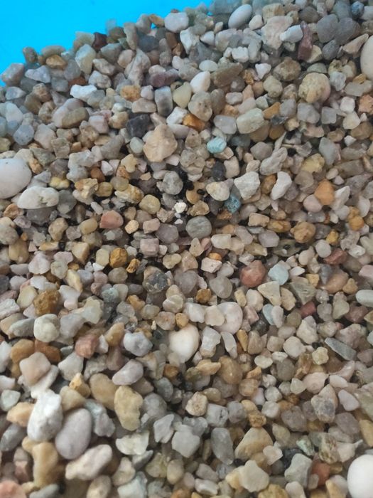 Pedras aquário (65kg)