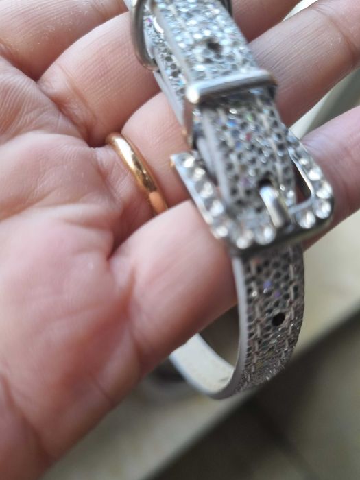 Acessórios Cão (Pequeno porte)