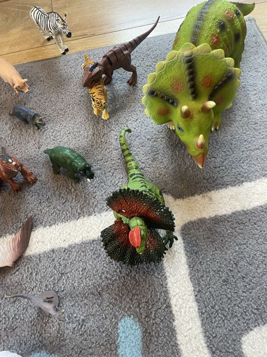 Duży zestaw dinozaurów
