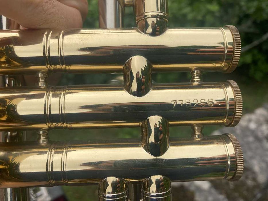 Trompete com estojo rígido de transporte