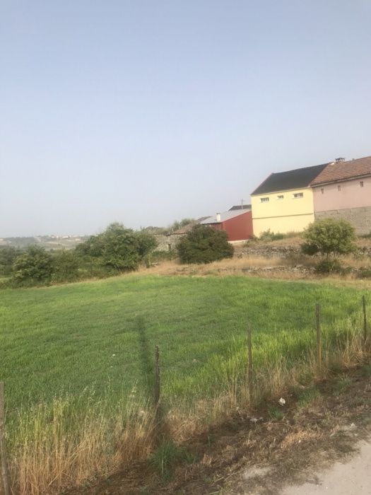 Terreno com 1 hectare com loteamento aprovado