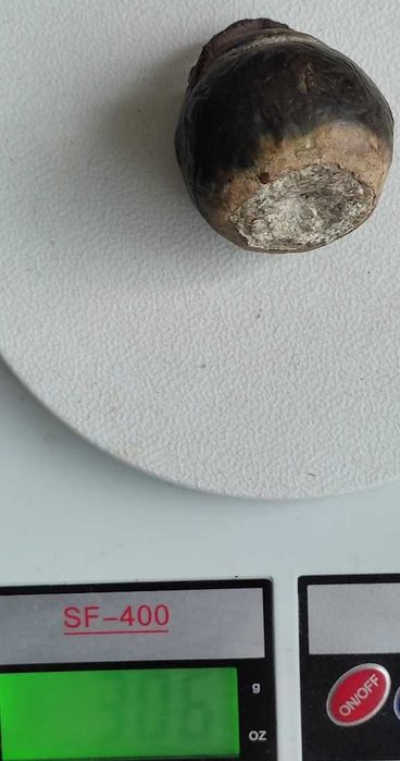 Кистень,волкобой