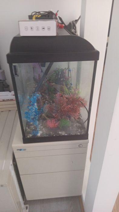 Aquário grande pouco uso