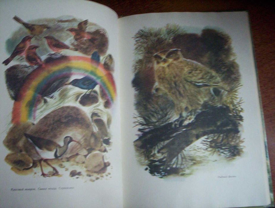 Розовые чайки и черные журавли. Книга о редких птицах Детлит 1985
