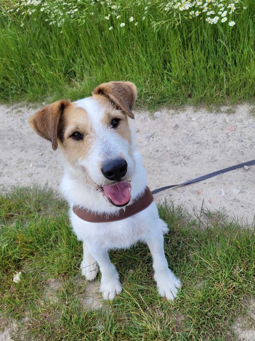 Żeby życie Bruna miało dobry smak