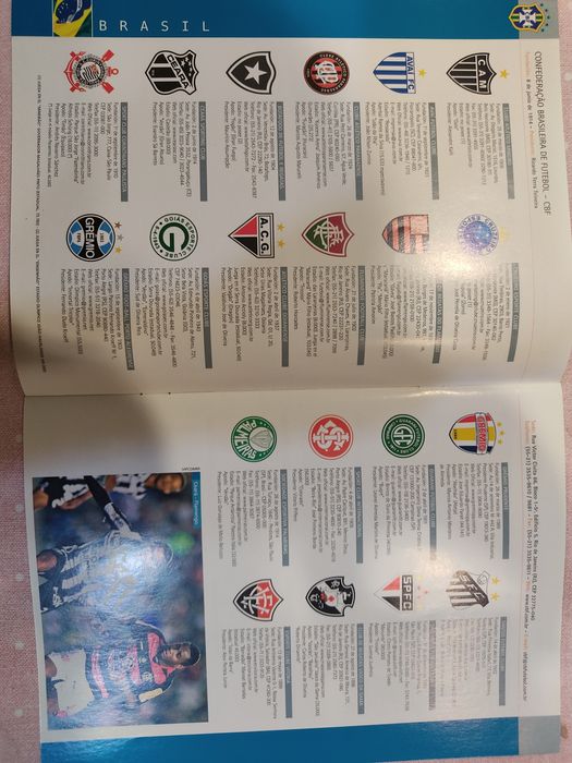 Guia de clubes sul americanos 1 liga 2010/11