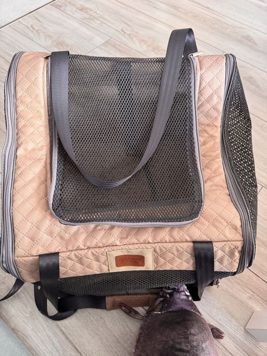 Transporter samochodowy dla psa