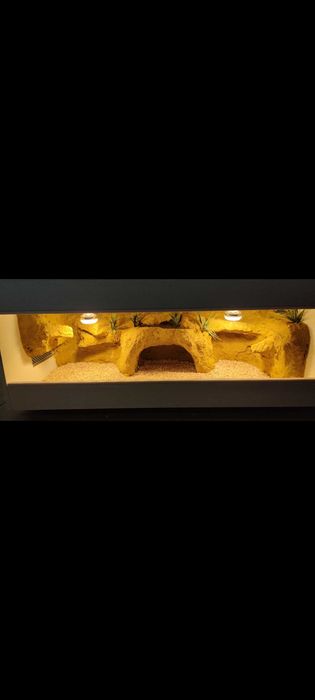 Okazja terrarium dla agamy gekona żółwia węża 120x60x60