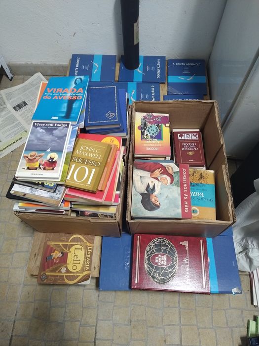 Lote de livros varias temáticas