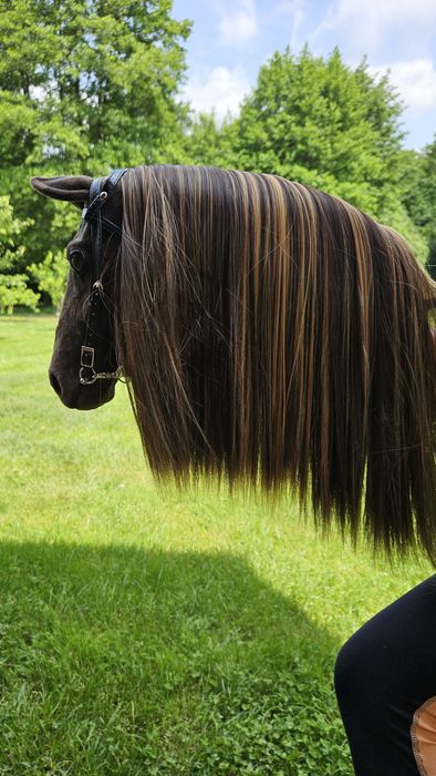 Hobby horse realistic+akcesoria