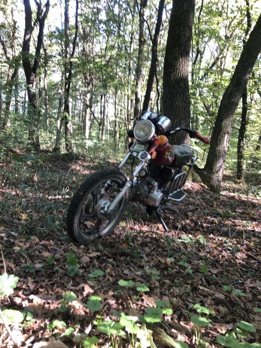 Продам альфу110