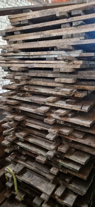 Hodowla ślimaka  Paśniki Karmniki Stoły