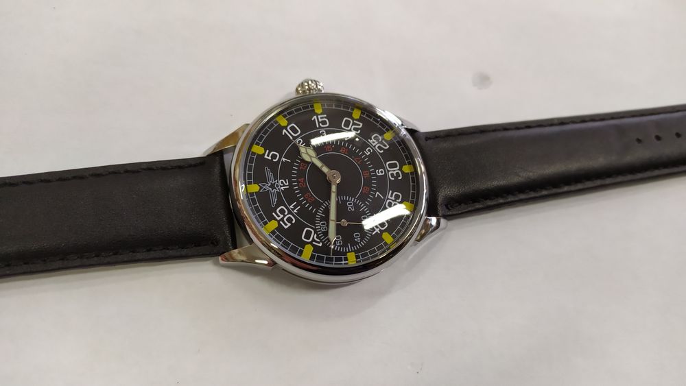 Mołnia pasówka pilot